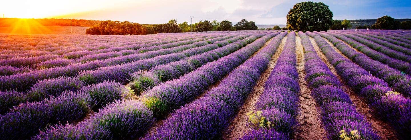 Province of Guadalajara