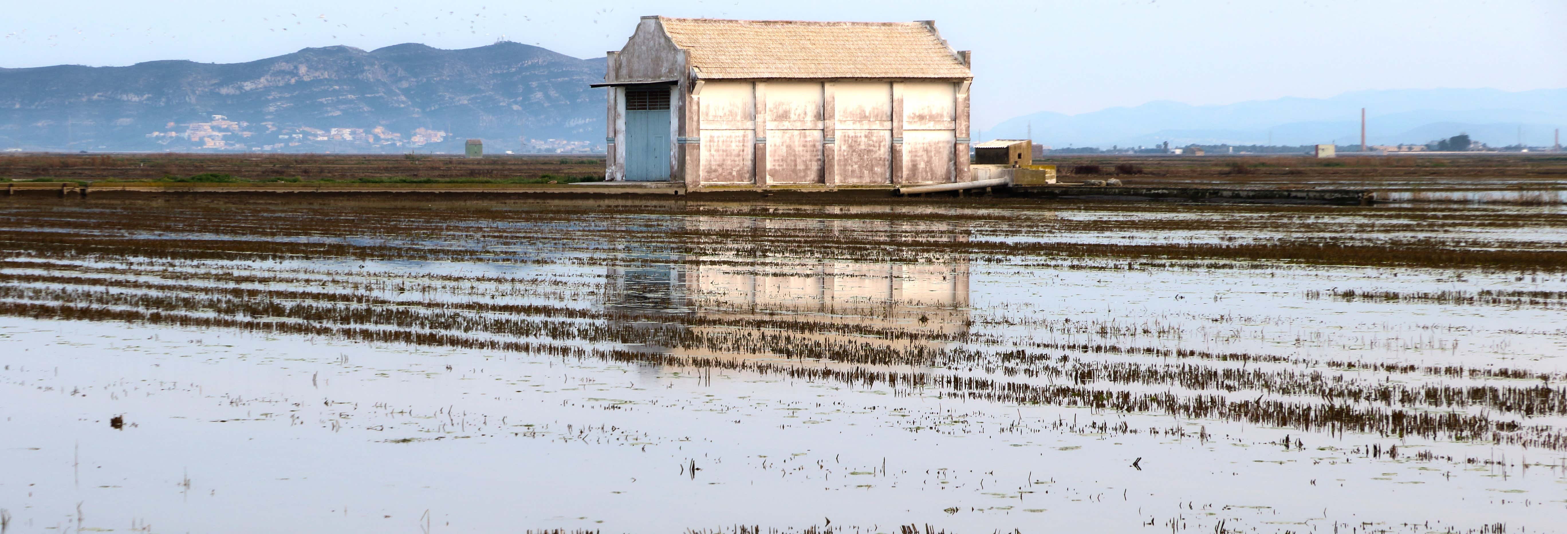 Parc naturel de l'Albufera
